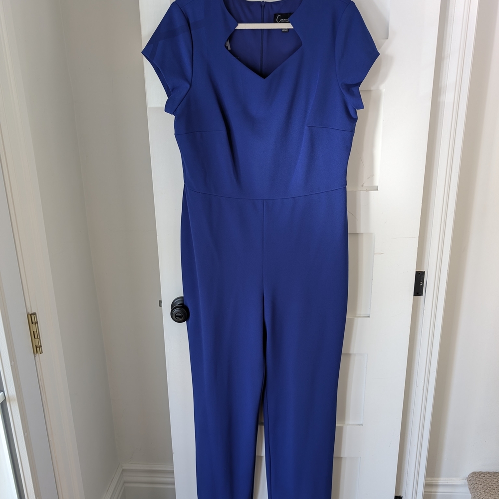 Elegant Blue Jumpsuit